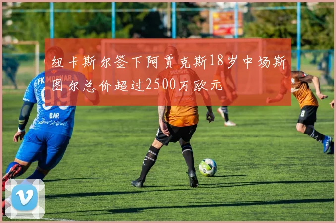 纽卡斯尔签下阿贾克斯18岁中场斯图尔总价超过2500万欧元